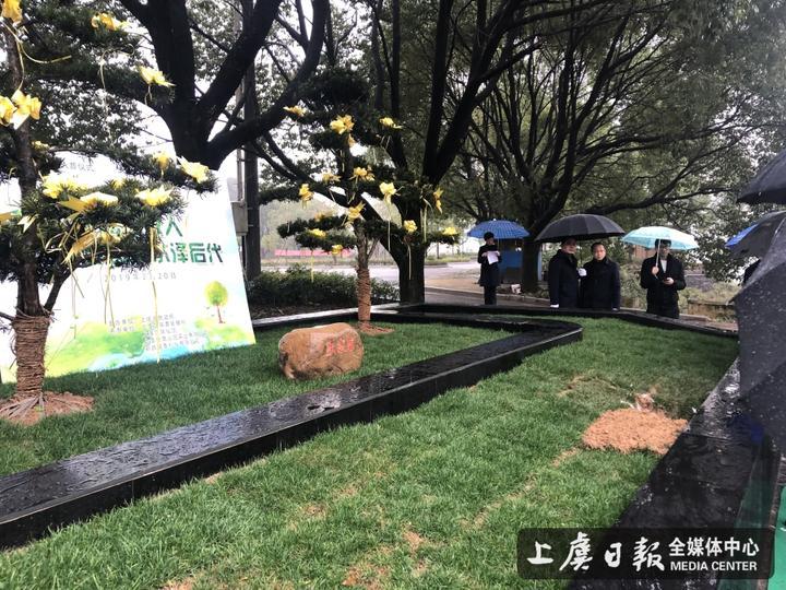 南山区民政局领导团队全新亮相，未来工作展望与责任担当